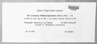 Uromyces hedysari-paniculati image